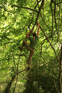 james kennard nightingale valley tree climbing