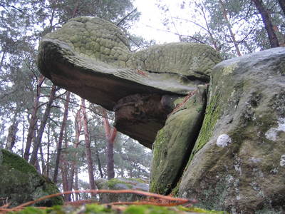 fontainebleau