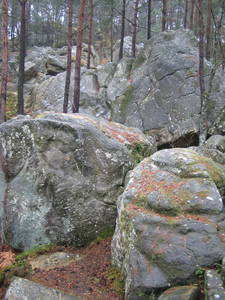 fontainebleau