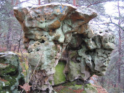 fontainebleau