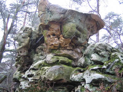 fontainebleau