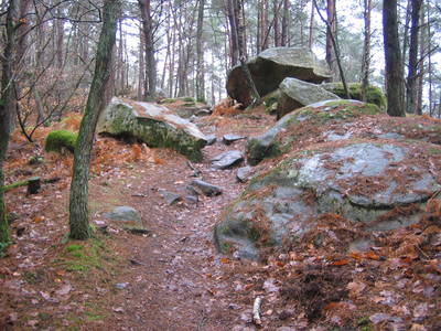 fontainebleau