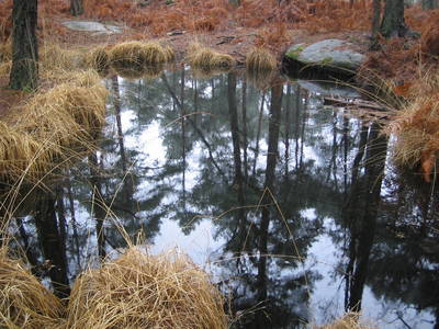 fontainebleau