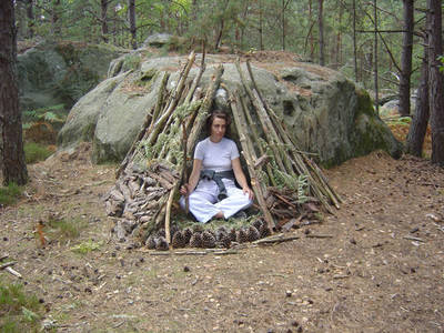 fontainebleau forest france stick shelter