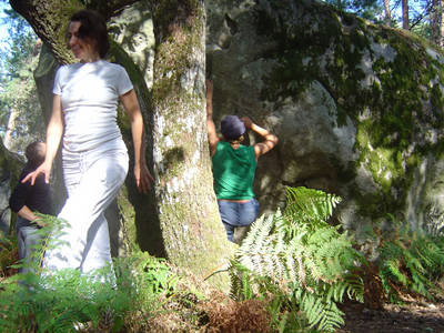 fontainebleau forest rock climbing france laia sadnrni