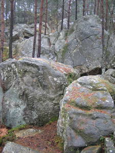 fontainebleau foret boulder rock