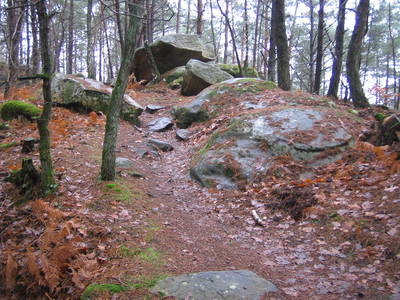 fontainebleau foret boulder rocks path