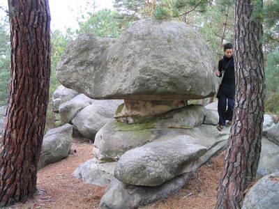 fontainebleau rock climbing france kayle brandon