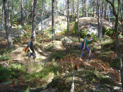 fontainebleau rock climbing france laia sadnrni hellekin o wolf