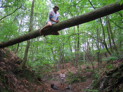 fontainebleau rock climbing france michael kate rich