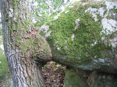 fontainebleau rock climbing france suck