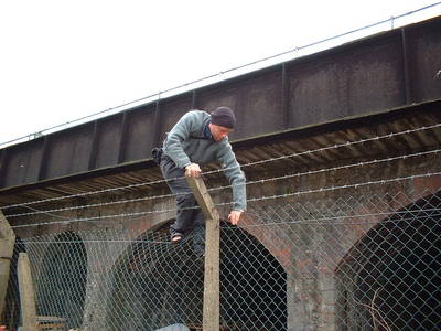 bristol avon street heath bunting barbed wire fence climbing