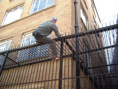 host street heath bunting razor wire fence climbing