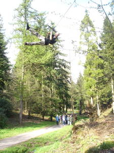 tree rope swing heath bunting paradise bottom arboretum ravine leigh woods bristol