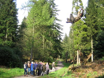 tree rope swing james kennard mandy leivers paradise bottom arboretum ravine leigh woods bristol