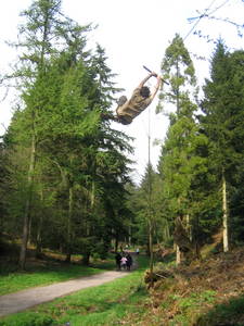 tree rope swing james kennard paradise bottom arboretum ravine leigh woods bristol