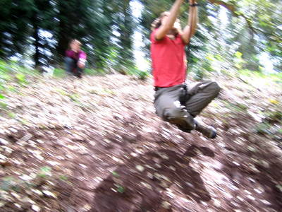 tree rope swing james kennard paradise bottom arboretum ravine leigh woods bristol