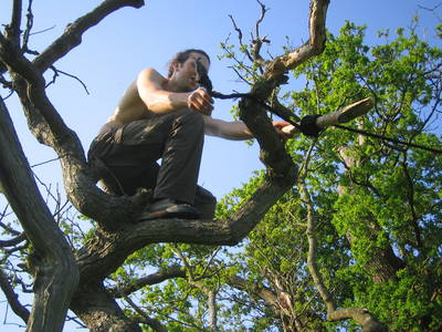 tree rope swing james kennard purdown stoke park bristol