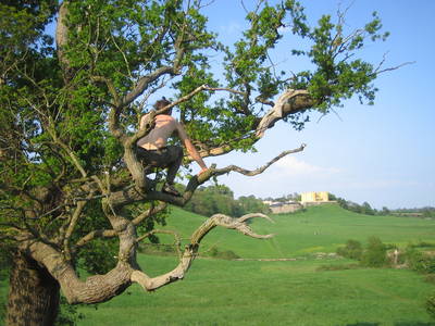tree rope swing james kennard purdown stoke park dower house bristol