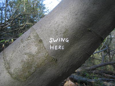 tree rope swing sign nightingale valley leigh woods slope bristol