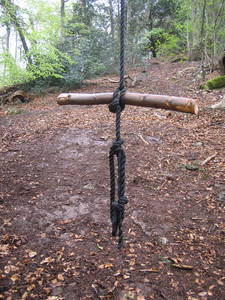 tree rope swing stick seat nightingale valley leigh woods slope bristol