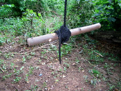 tree rope swing stick seat stoke park bristol