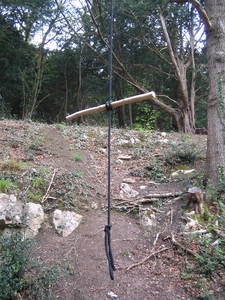 tree rope swing stick seat walcombe slade slope bristol