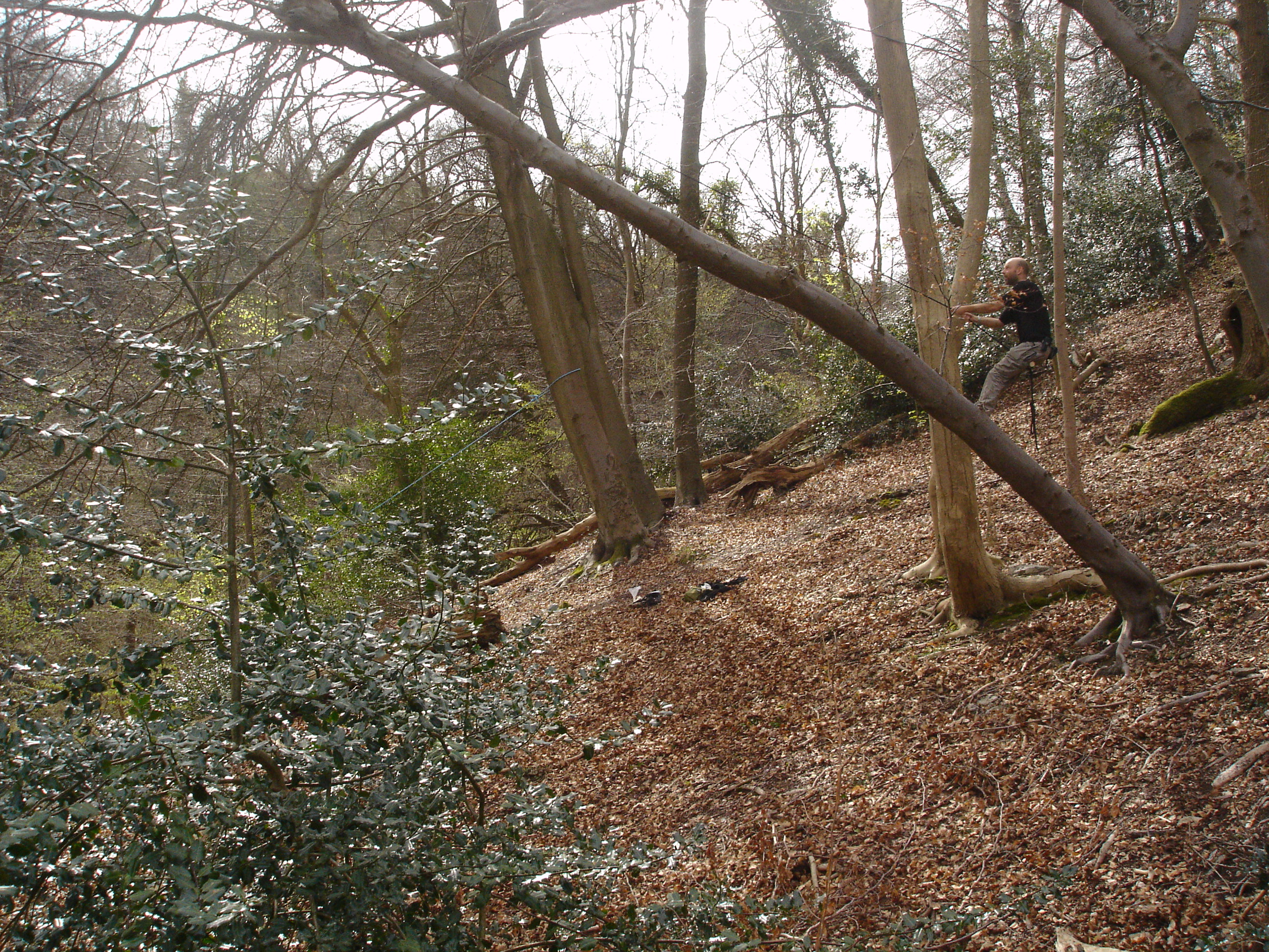 29+ Broken Bridge To Terabithia Rope Swing PNG