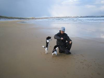 heath bunting fraserburgh dogs beach