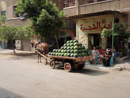 carriage watermelons
