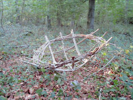 coracle leigh woods