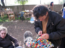 crochet platic bag Camallera dani miracle eva
