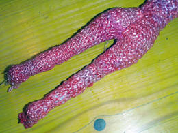 crochet plastic bag doll