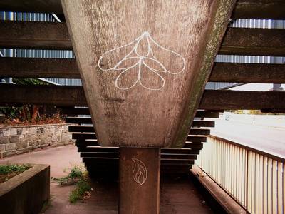 chalk graffiti cocksucker m motorway bridge heath bunting bristol