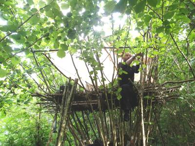 tree house