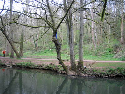 snuff mills bristol river frome crossing artist