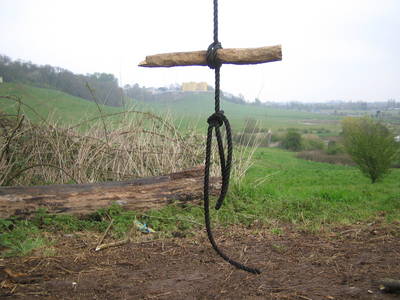 tree rope swing stick seat purdown stoke park dower house bristol
