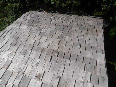 shingle roof