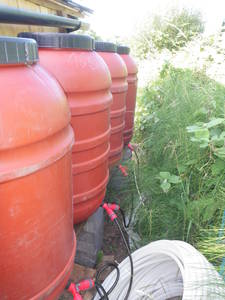 urban homestead rain water barrels