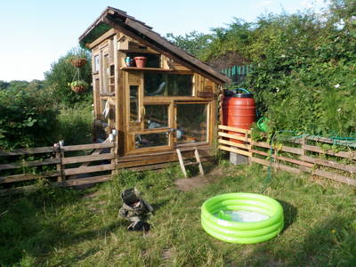 urban homestead shed