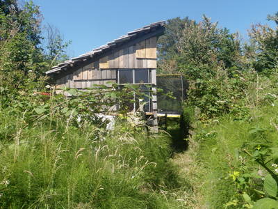 urban homestead shed