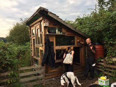 urban homestead shed 