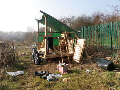 urban homestead shed build