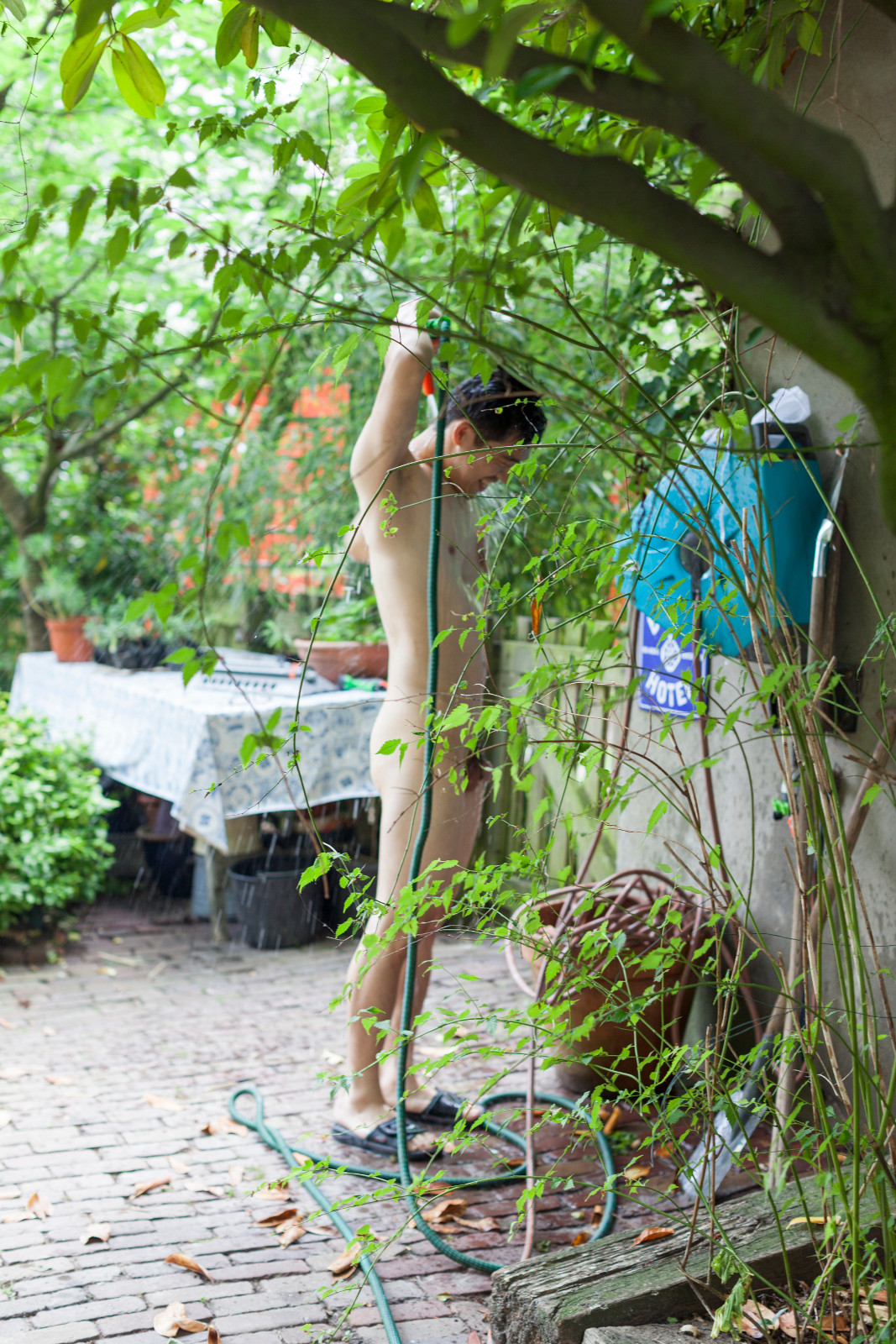 Lazy load images image15