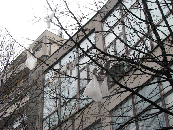 Plastic bags on trees