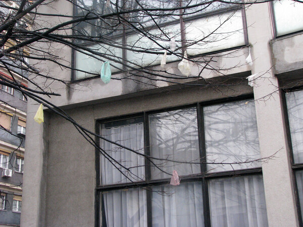 Plastic bags on trees